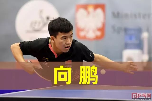 以上可切换 以上可切换